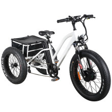 En15194 24 Inch Fat Tire Adult Electric Tricycle